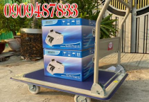 BÁN XE ĐẨY HÀNG GIÁ RẺ TẠI SÀI GÒN