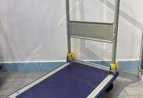 Xe đẩy hàng hóa, xe đẩy tiền Presta chất lượng tại Tiền Giang